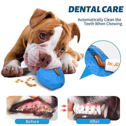 Rubber Dog Chew Toys,Treat Food Dispensing Dog Toys for Teeth Cleaning, Interactive Puzzle Dog Toys for Small Medium Large Dogs Blue
