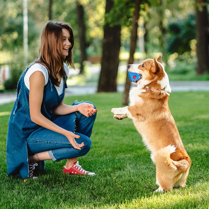 Rubber Dog Chew Toys,Treat Food Dispensing Dog Toys for Teeth Cleaning, Interactive Puzzle Dog Toys for Small Medium Large Dogs Blue
